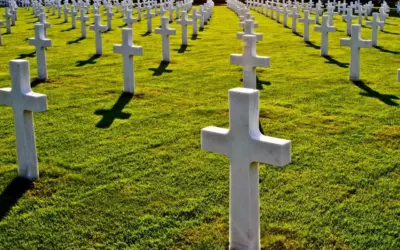 33 96 04 76 – Sikker at svare? 33 96 04 76 – Sikker at svare?