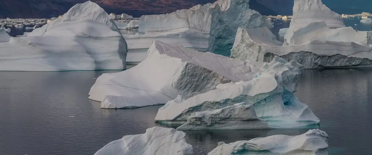 77897301 – Hvad er det?