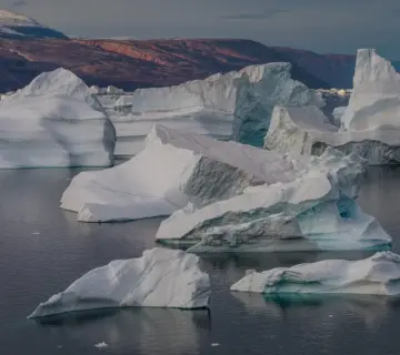 77897301 – Hvad er det?