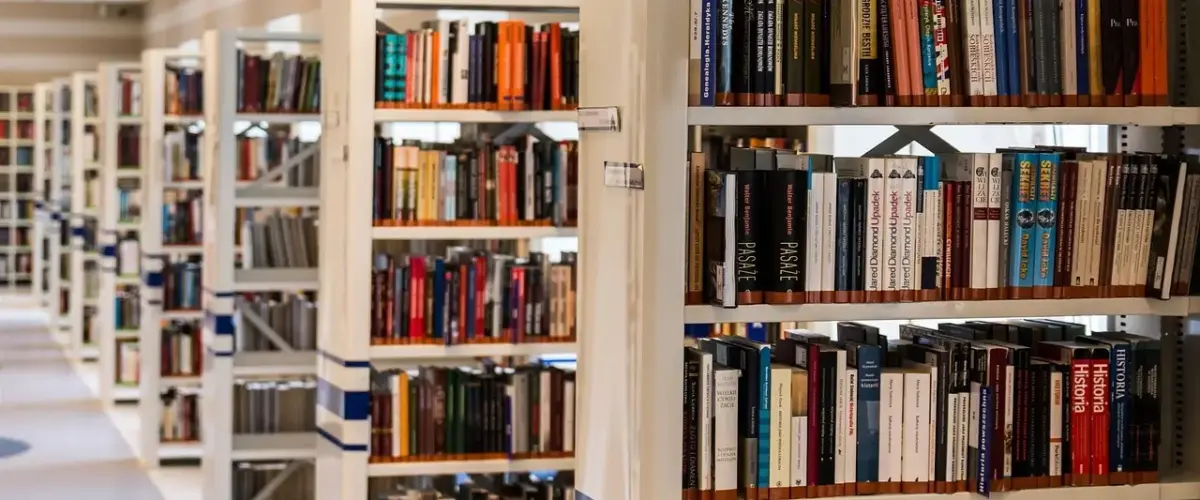 Anders Matthesen Kone Og børn: Når læsning bliver familiens fælles eventyr