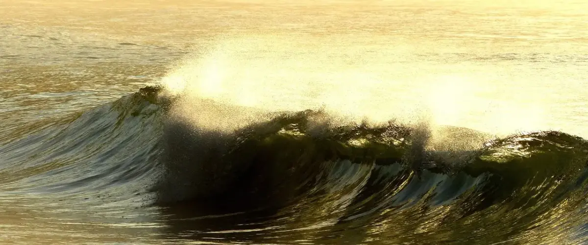 Drenge Navne med F: Navne med historie og charme