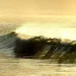 Drenge Navne med F: Navne med historie og charme