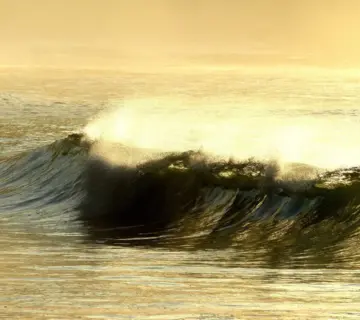 Drenge Navne med F: Navne med historie og charme