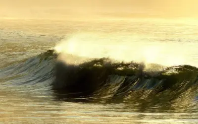 Drenge Navne med F: Navne med historie og charme