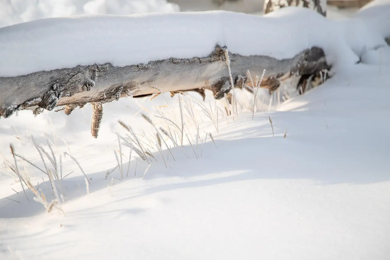 Hvad er et raftehegn? Opdag det rustikke hegn, der forvandler din have