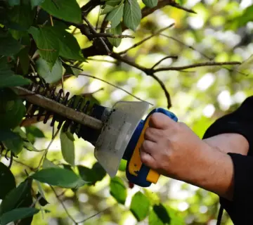Hvad koster hækklipning? Få prisguiden, sparetips og undgå dyre overraskelser