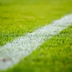 Hvad koster rullegræs? Sådan får du et grønt resultat uden at sprænge budgettet