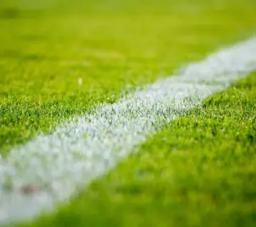 Hvad koster rullegræs? Sådan får du et grønt resultat uden at sprænge budgettet