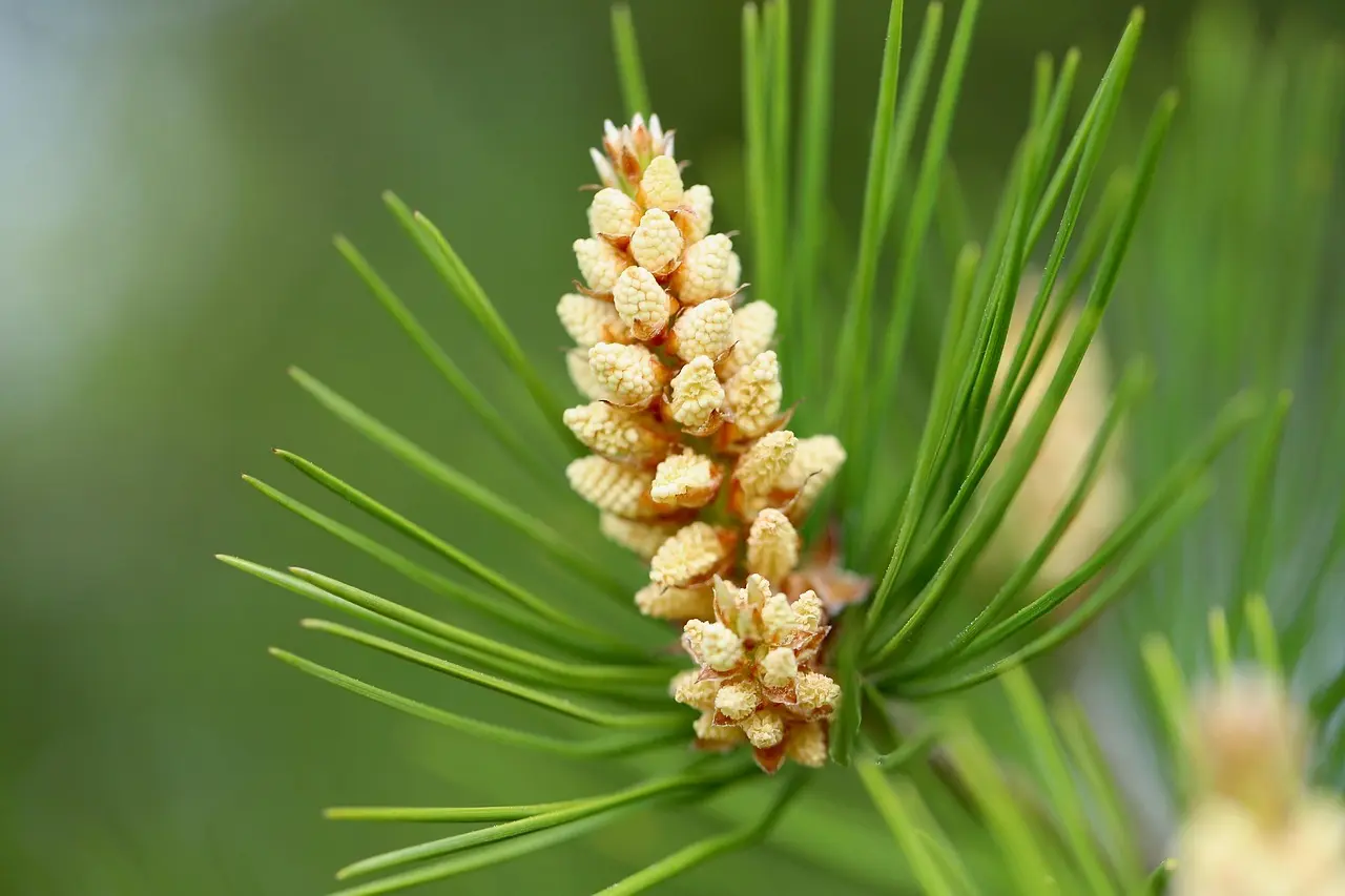 Hvorfor blinker min Quooker? Sådan finder du årsagen og løser det på få minutter