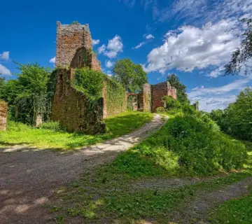 Laura Von Lindholm børn: Hvordan morrollen har formet hendes liv