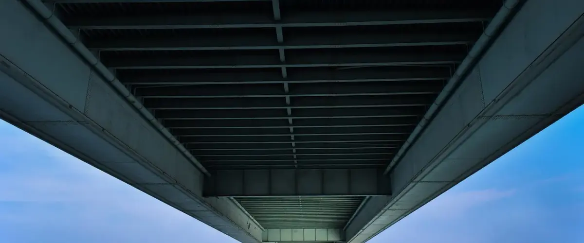 Løsningsforslag til Dansk Maler krydsord