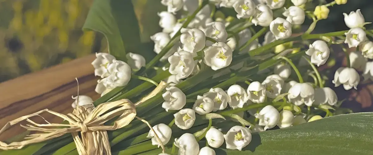 May Lifschitz kæreste: Om kærligheden, forlovelsen og vejen til bryllup