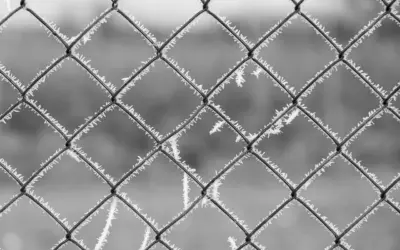 Minus Krydsord svar Minus Krydsord svar