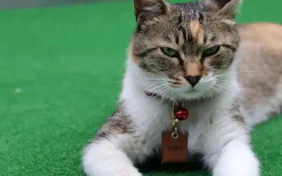 Navne med H: Navne der hitter hos nye forældre Navne med H: Navne der hitter hos nye forældre