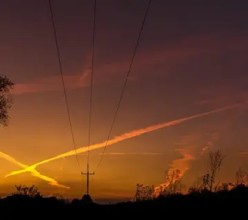 Navne med X: Navneguide og inspiration