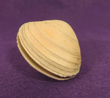 Sådan justerer du Blum hængsler på køkkenlåger