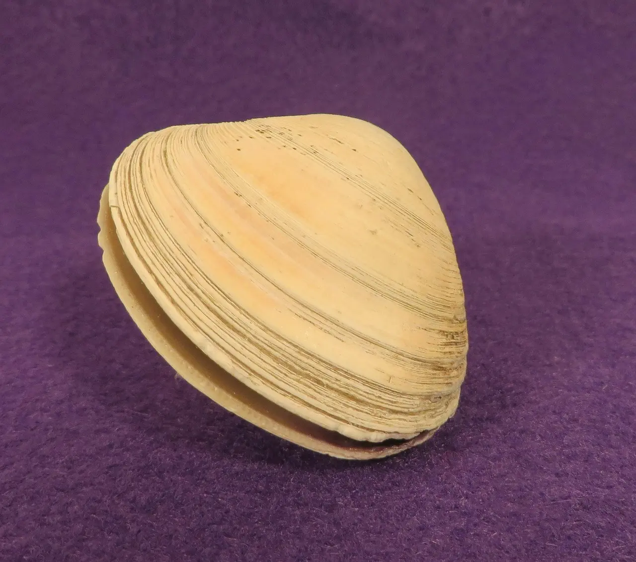 Sådan justerer du Blum hængsler på køkkenlåger