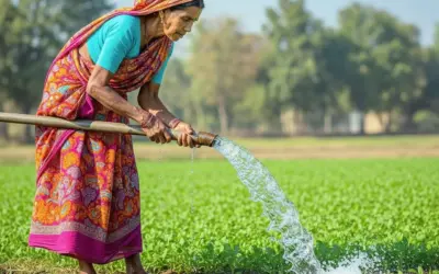 Sådan lægger du en siveslange til jævn vanding
