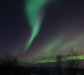 Synomymer til Fænomen i krydsord