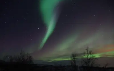 Synomymer til Fænomen i krydsord Synomymer til Fænomen i krydsord